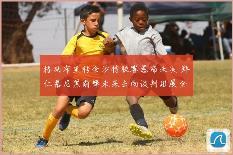 格纳布里转会沙特联赛悬而未决 拜仁慕尼黑前锋未来去向谈判进展全揭秘